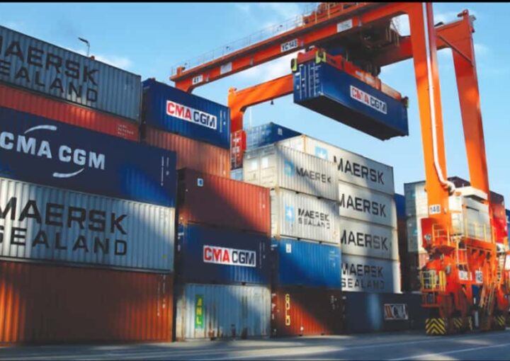 FG’s National Single Window to Unify Import and Export Operations from March