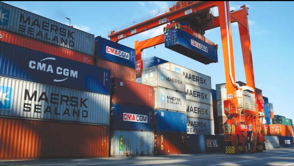 FG’s National Single Window to Unify Import and Export Operations from March