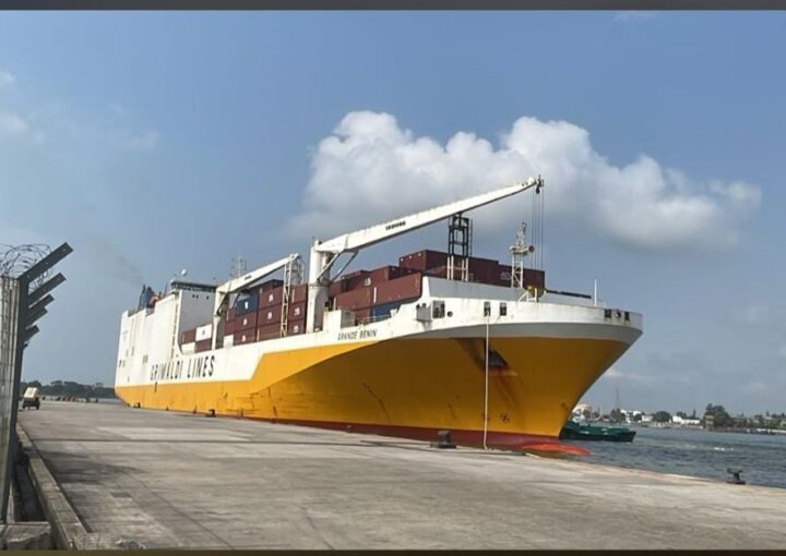 RoRo vs Container Shipping: The Strategic Decision That Determines Your Total Landing Cost